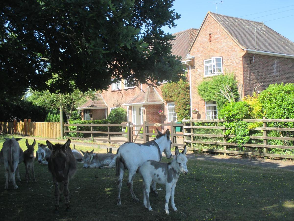 Hops Main House, Brockenhurst, New Forest Vila Exterior foto