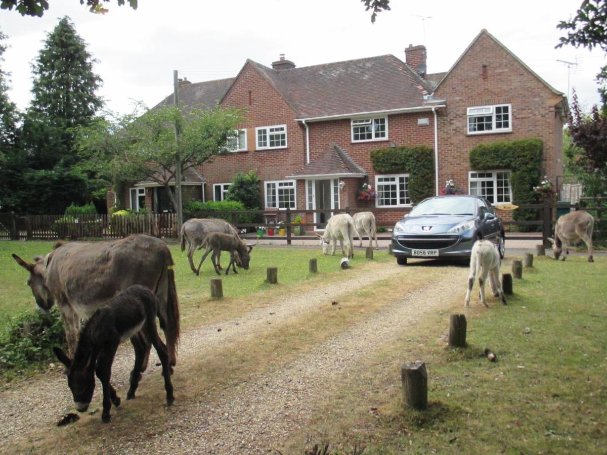 Hops Main House, Brockenhurst, New Forest Vila Exterior foto